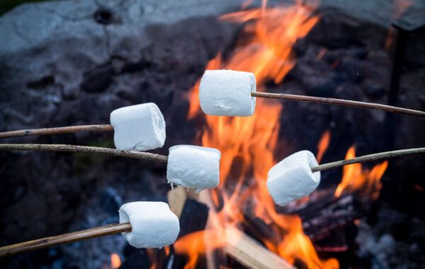 The Great Marshmallow Mystery: A Sticky Situation in Court