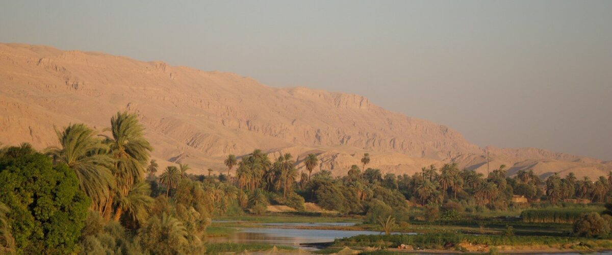 a body of water surrounded by palm trees